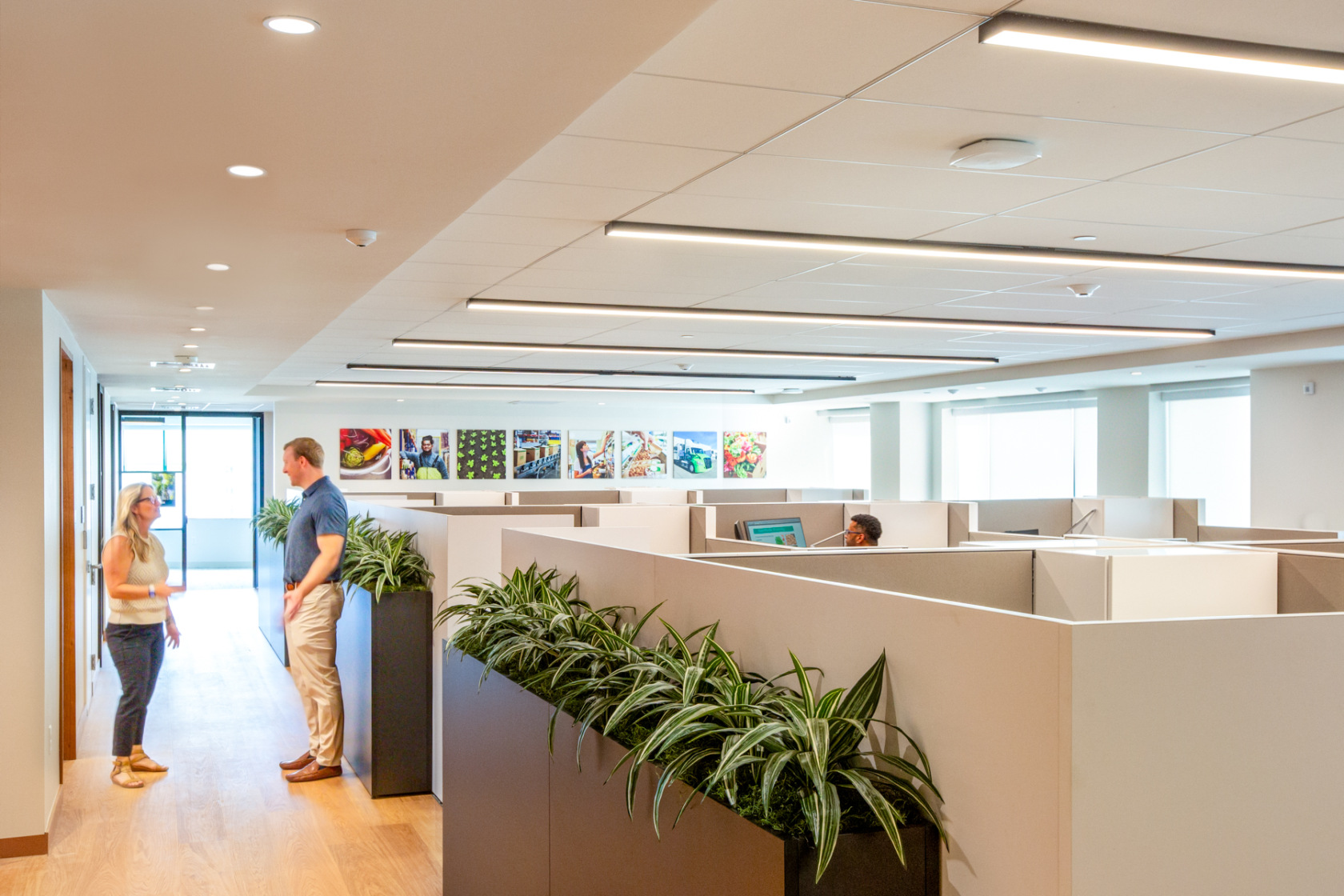 UNFI Corporate Providence Rhode Island Architect General Office Cubes